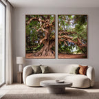 Quadro Decorativo Raízes Ancestrais